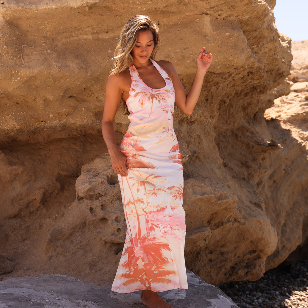 Halter Mesh Maxi Dress - Wild Skies