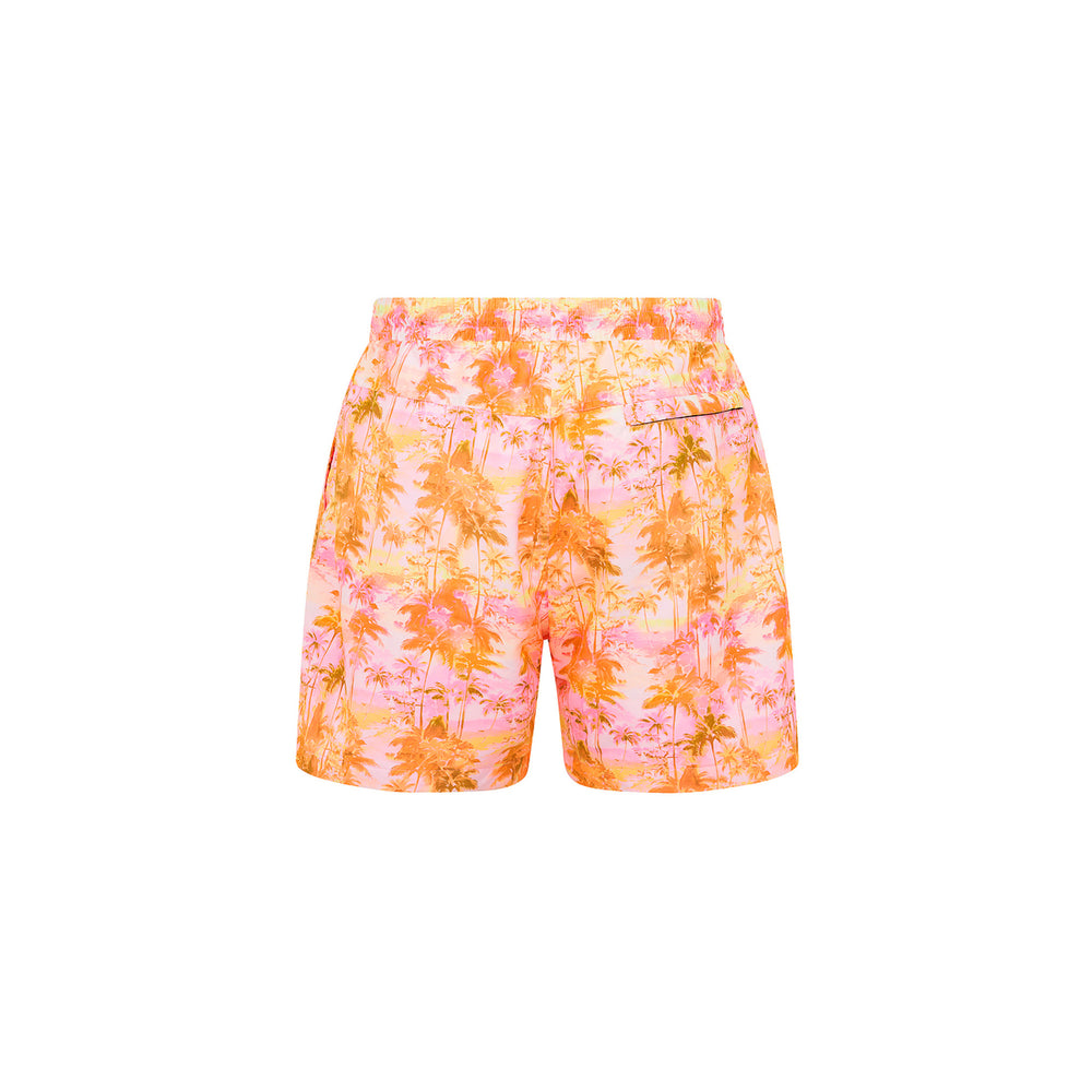 Men's Swim Trunks - Wild Skies